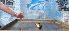 IMG_20250527_194621_465.jpg