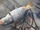 IMG_5045.jpeg