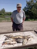 IMG-20250528-WA0010.jpg
