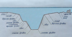1748438625689.png
