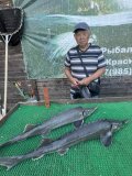 IMG_5105.jpeg