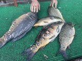 IMG_5109.jpeg