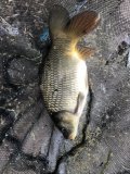 IMG_6929.jpeg