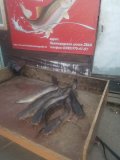 IMG-20250529-WA0004.jpg