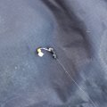 20250529_073042.jpg