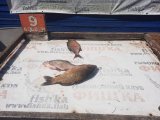 IMG-20250529-WA0016.jpg