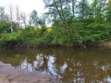 IMG_20250529_042506.jpg