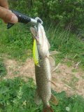 IMG_20250529_103020.jpg
