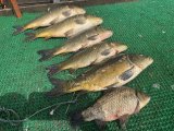 IMG_5166.jpeg
