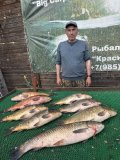IMG_5206.jpeg