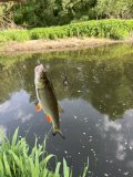 IMG_8508.jpeg