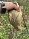 IMG_2302.jpeg