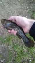 IMG_20220507_160121.jpg