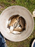 IMG_20250529_114034_637.jpg
