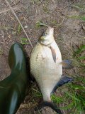 IMG20250530082306.jpg