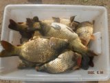 IMG-20250530-WA0068.jpg