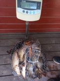 IMG-20250530-WA0076.jpg
