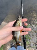 IMG_7887.jpeg
