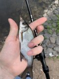 IMG_7888.jpeg