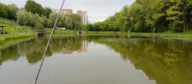 IMG_20250530_190848_869.jpg