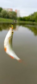 IMG_20250530_190743_864.jpg
