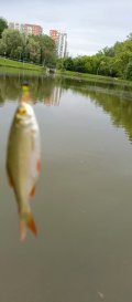 IMG_20250530_190732_066.jpg