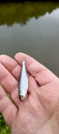 IMG_20250530_184653_154.jpg