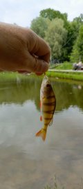 IMG_20250530_174034_206.jpg