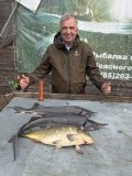 IMG_4678.jpeg