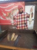 IMG-20250531-WA0003.jpg