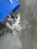 IMG_4716.jpeg