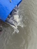 IMG_4719.jpeg