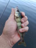 IMG_20250531_084010.jpg