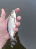 IMG_20250531_094738.jpg