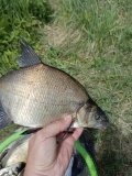IMG_20250531_120000_004.jpg