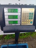 73_img_20250531_161414.jpg