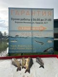 IMG-20250531-WA0006.jpg