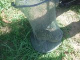 IMG-20250531-WA0082.jpg
