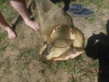IMG-20250531-WA0056.jpg