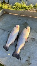 IMG_9090.jpeg
