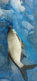 IMG_20250601_070836.jpg