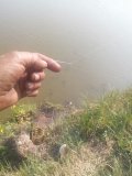 IMG_20250602_155536.jpg
