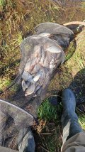 IMG-20250601-WA0008.jpg