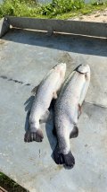 IMG_9131.jpeg