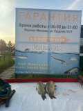 IMG-20250602-WA0006.jpg