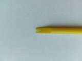 IMG_20250603_092939.jpg