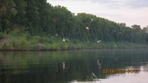 IMG_3513.JPG