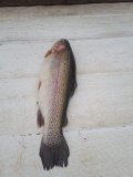 IMG-20250603-WA0023.jpg