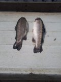 IMG-20250603-WA0039.jpg