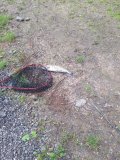 IMG-20250604-WA0009.jpg